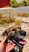 ATENEA Imagen 7
